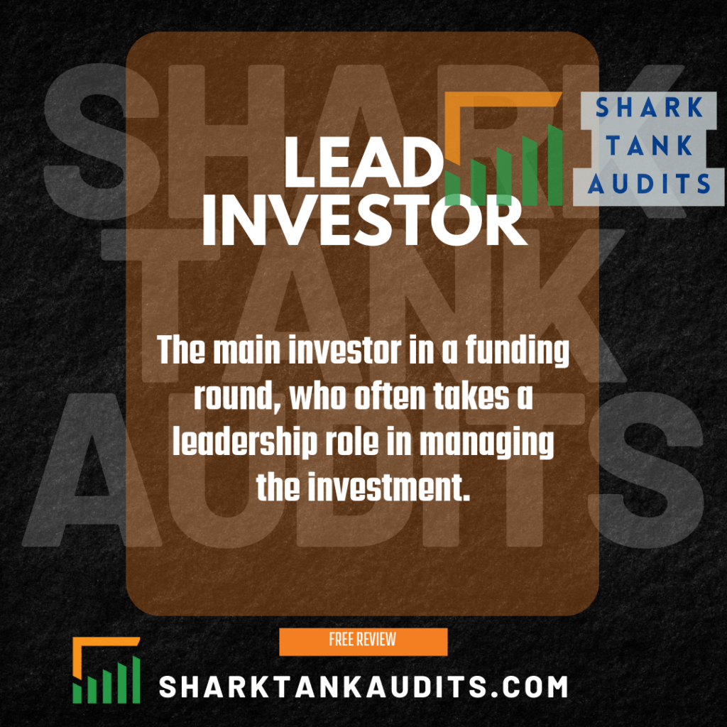 What Is A Lead Investor? - Importance & Role