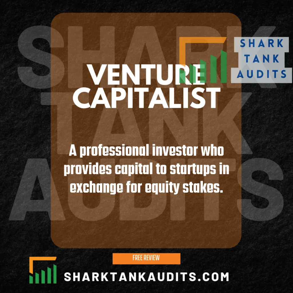 Venture Capitalists Definition