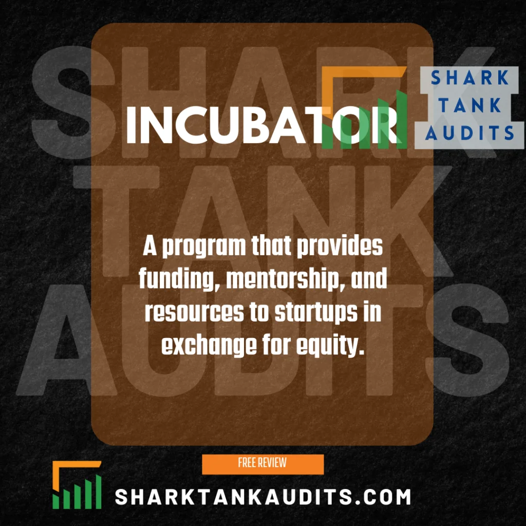 What is Incubator in Business?