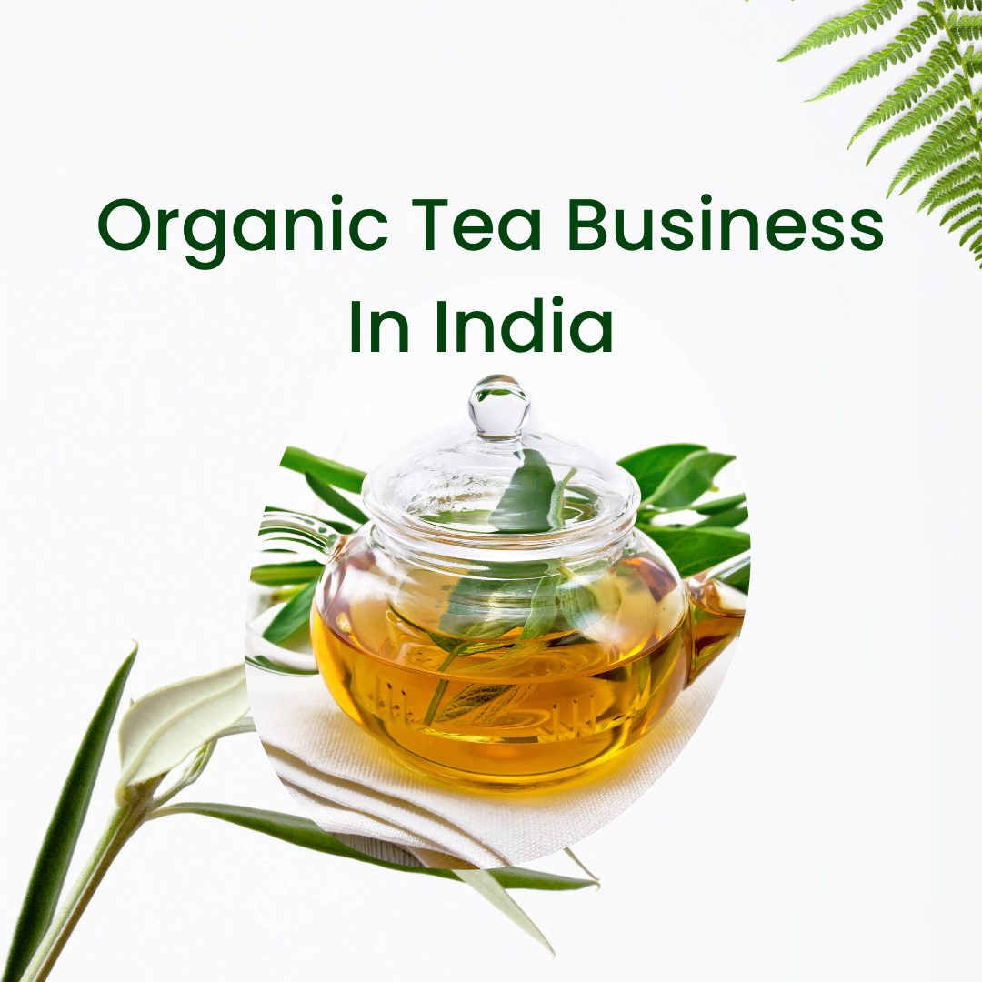 organic-beauty-products-business-in-india-know-requirement-and