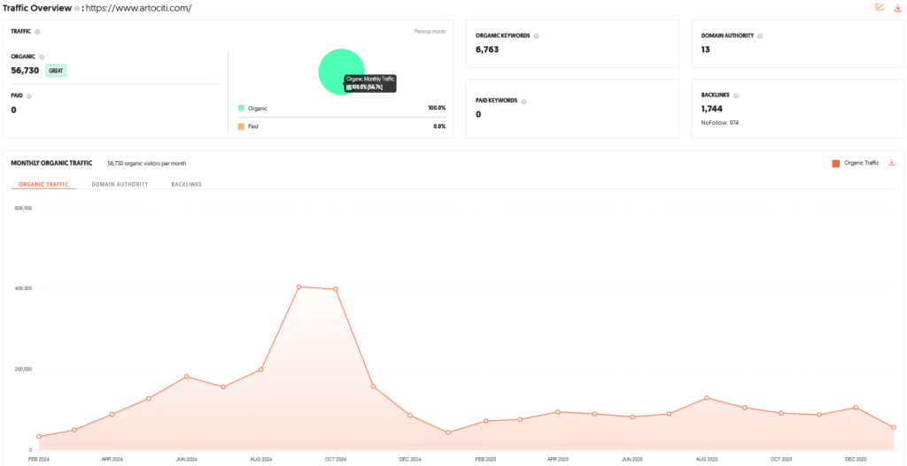 Artociti Shark Tank India Review Website Data